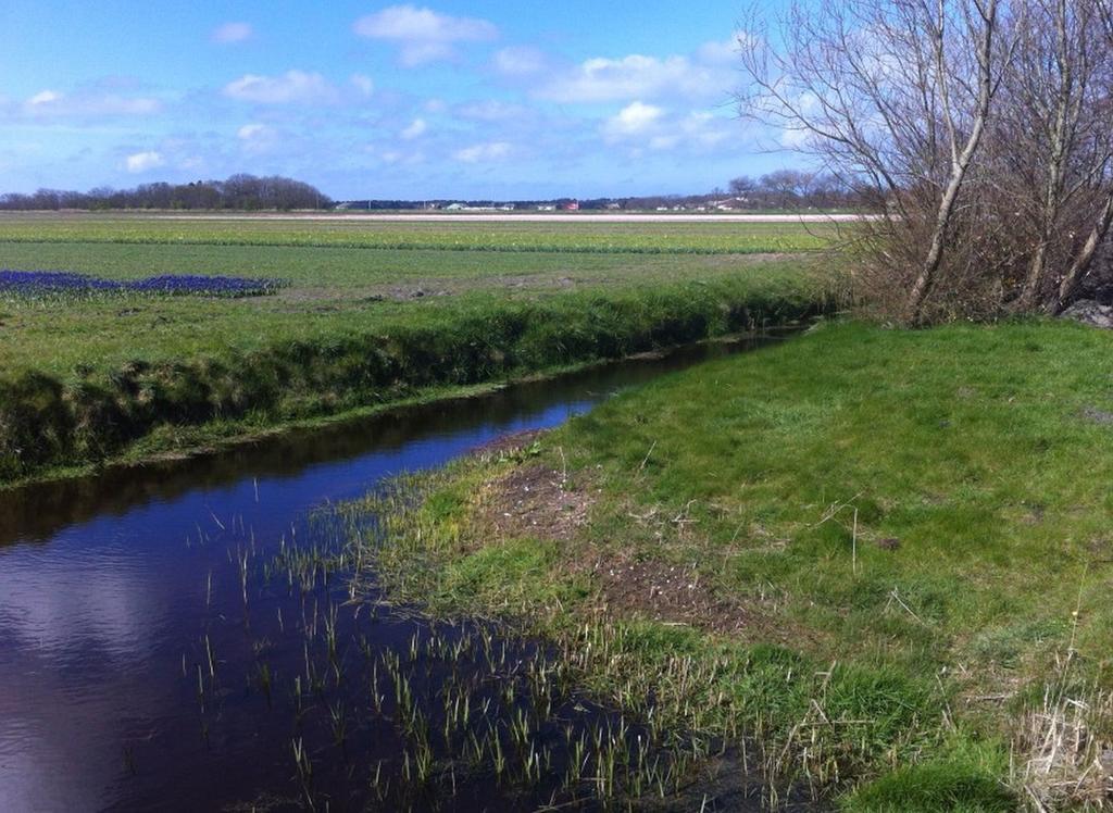 Strand49 Glamping Sint Maartenszee Sint Maartensvlotbrug Exterior foto